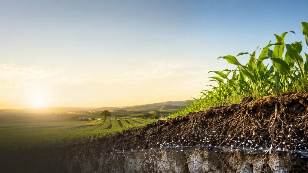 Agriculture and Soil Improvement